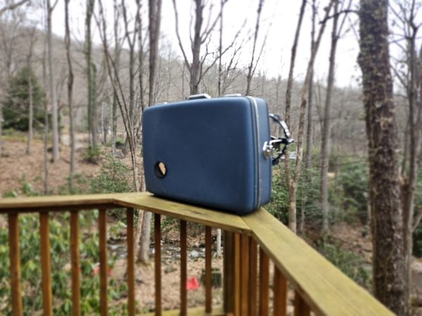 The Bull Kick 16inch - Image 12