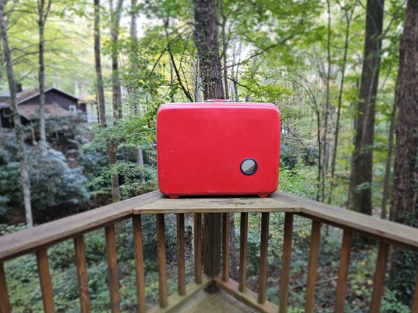 The Natural 16inch - Image 14